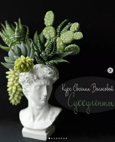 [Евгения Волосова] [Лепка] Суккуленты (2022)_0.png